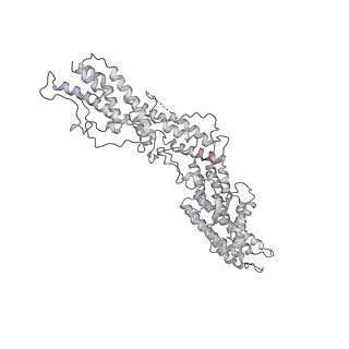 18181_8q62_L_v1-2
Early closed conformation of the g-tubulin ring complex