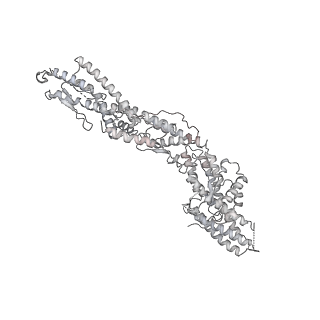 18181_8q62_M_v1-2
Early closed conformation of the g-tubulin ring complex