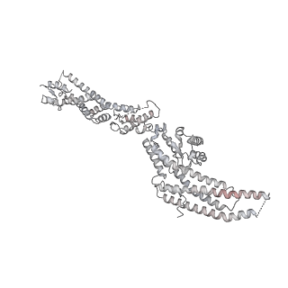 18181_8q62_N_v1-2
Early closed conformation of the g-tubulin ring complex