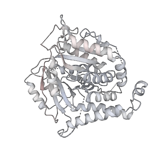 18181_8q62_a_v1-2
Early closed conformation of the g-tubulin ring complex