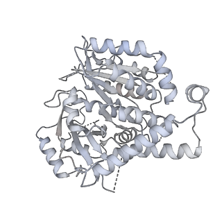 18181_8q62_b_v1-2
Early closed conformation of the g-tubulin ring complex