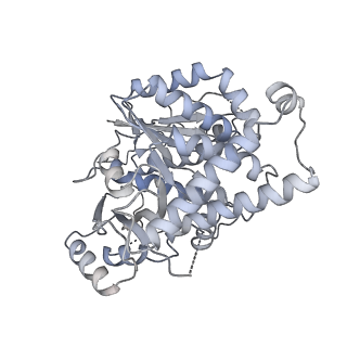 18181_8q62_c_v1-2
Early closed conformation of the g-tubulin ring complex