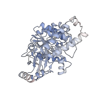 18181_8q62_d_v1-2
Early closed conformation of the g-tubulin ring complex