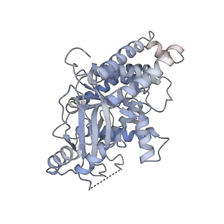 18181_8q62_e_v1-2
Early closed conformation of the g-tubulin ring complex