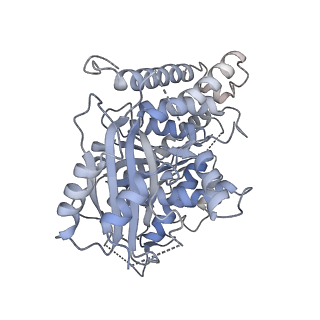 18181_8q62_f_v1-2
Early closed conformation of the g-tubulin ring complex