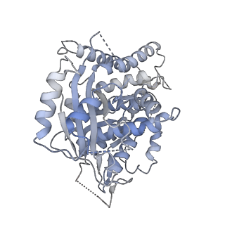 18181_8q62_g_v1-2
Early closed conformation of the g-tubulin ring complex