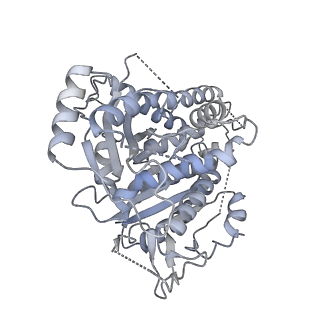 18181_8q62_h_v1-2
Early closed conformation of the g-tubulin ring complex