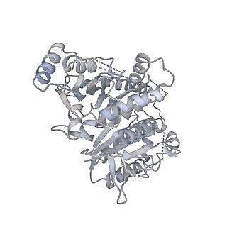 18181_8q62_i_v1-2
Early closed conformation of the g-tubulin ring complex