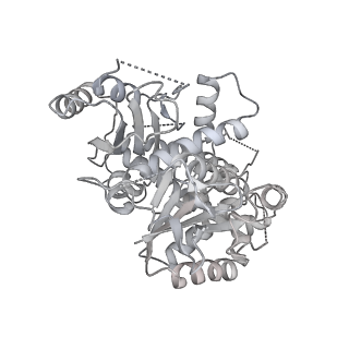 18181_8q62_j_v1-2
Early closed conformation of the g-tubulin ring complex