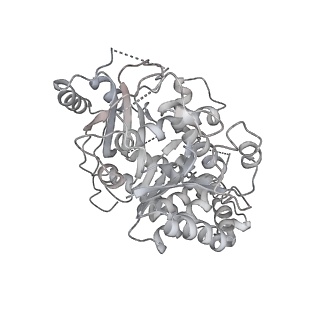 18181_8q62_k_v1-2
Early closed conformation of the g-tubulin ring complex