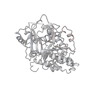 18181_8q62_l_v1-2
Early closed conformation of the g-tubulin ring complex