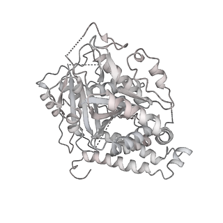 18181_8q62_m_v1-2
Early closed conformation of the g-tubulin ring complex