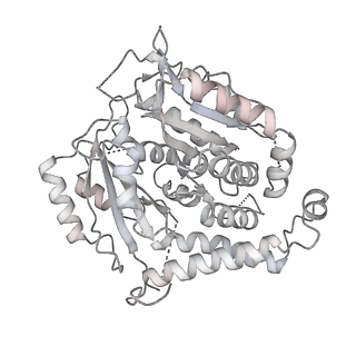 18181_8q62_n_v1-2
Early closed conformation of the g-tubulin ring complex