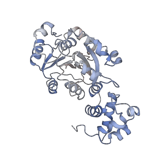 18183_8q63_B_v1-3
Cryo-EM structure of IC8', a second state of yeast mitochondrial RNA polymerase transcription initiation complex with 8-mer RNA, pppGpGpUpApApApUpG