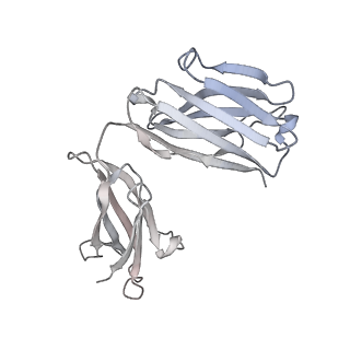 18188_8q6j_B_v1-0
Atomic structure and conformational variability of the HER2-Trastuzumab-Pertuzumab complex