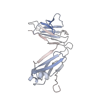 18188_8q6j_C_v1-0
Atomic structure and conformational variability of the HER2-Trastuzumab-Pertuzumab complex