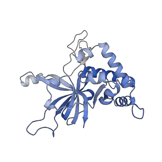18191_8q6o_2_v1-2
X. laevis CMG dimer bound to dimeric DONSON - without ATPase