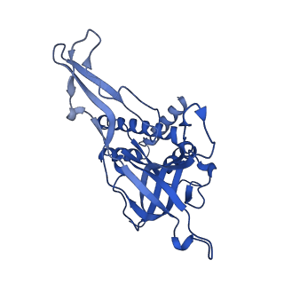 18191_8q6o_3_v1-2
X. laevis CMG dimer bound to dimeric DONSON - without ATPase