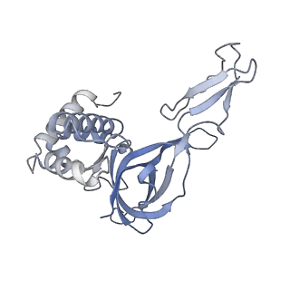 18191_8q6o_4_v1-2
X. laevis CMG dimer bound to dimeric DONSON - without ATPase