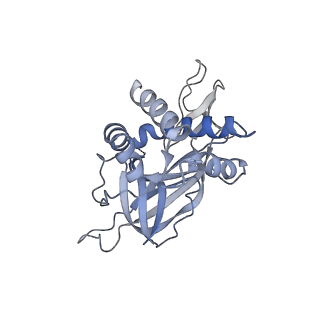18191_8q6o_6_v1-2
X. laevis CMG dimer bound to dimeric DONSON - without ATPase