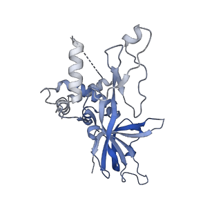18191_8q6o_7_v1-2
X. laevis CMG dimer bound to dimeric DONSON - without ATPase