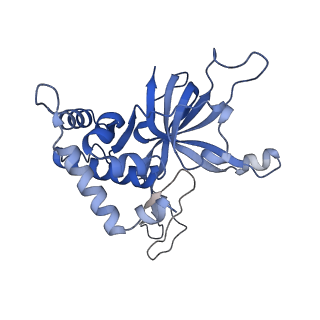18191_8q6o_A_v1-2
X. laevis CMG dimer bound to dimeric DONSON - without ATPase