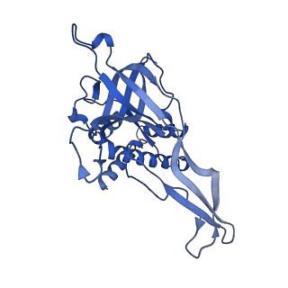18191_8q6o_B_v1-2
X. laevis CMG dimer bound to dimeric DONSON - without ATPase