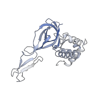18191_8q6o_C_v1-2
X. laevis CMG dimer bound to dimeric DONSON - without ATPase