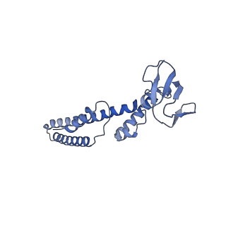 18191_8q6o_G_v1-2
X. laevis CMG dimer bound to dimeric DONSON - without ATPase