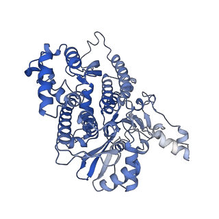 18191_8q6o_J_v1-2
X. laevis CMG dimer bound to dimeric DONSON - without ATPase