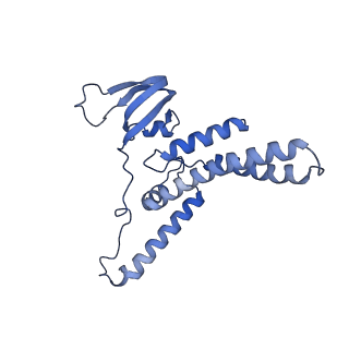 18191_8q6o_K_v1-2
X. laevis CMG dimer bound to dimeric DONSON - without ATPase