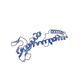 18191_8q6o_M_v1-2
X. laevis CMG dimer bound to dimeric DONSON - without ATPase