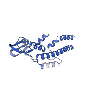 18191_8q6o_N_v1-2
X. laevis CMG dimer bound to dimeric DONSON - without ATPase