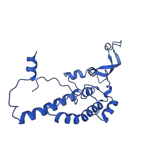 18191_8q6o_O_v1-2
X. laevis CMG dimer bound to dimeric DONSON - without ATPase