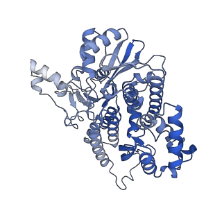 18191_8q6o_P_v1-2
X. laevis CMG dimer bound to dimeric DONSON - without ATPase