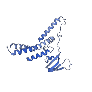 18191_8q6o_Q_v1-2
X. laevis CMG dimer bound to dimeric DONSON - without ATPase