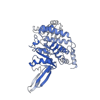 18192_8q6p_2_v1-2
X. laevis CMG dimer bound to dimeric DONSON - MCM ATPase