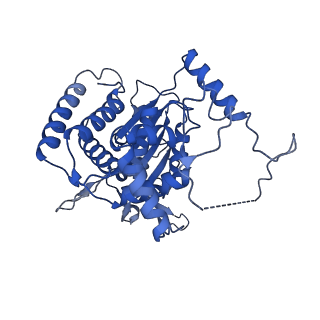 18192_8q6p_3_v1-2
X. laevis CMG dimer bound to dimeric DONSON - MCM ATPase