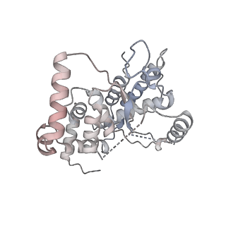 18192_8q6p_4_v1-2
X. laevis CMG dimer bound to dimeric DONSON - MCM ATPase