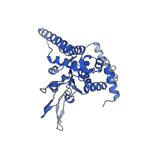18192_8q6p_5_v1-2
X. laevis CMG dimer bound to dimeric DONSON - MCM ATPase