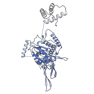 18192_8q6p_6_v1-2
X. laevis CMG dimer bound to dimeric DONSON - MCM ATPase