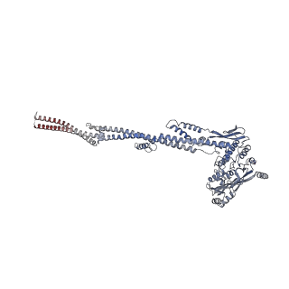 18201_8q72_A_v1-0
E. coli plasmid-borne JetABCD(E248A) core in a cleavage-competent state