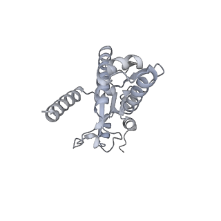 18201_8q72_C_v1-2
E. coli plasmid-borne JetABCD(E248A) core in a cleavage-competent state