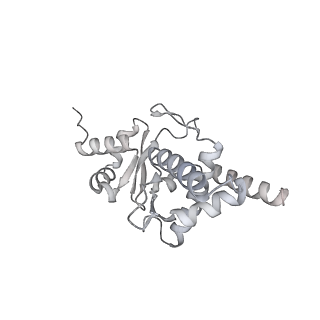 18201_8q72_D_v1-0
E. coli plasmid-borne JetABCD(E248A) core in a cleavage-competent state