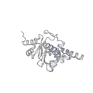 18201_8q72_D_v1-2
E. coli plasmid-borne JetABCD(E248A) core in a cleavage-competent state