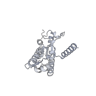 18201_8q72_H_v1-0
E. coli plasmid-borne JetABCD(E248A) core in a cleavage-competent state
