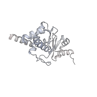 18201_8q72_I_v1-2
E. coli plasmid-borne JetABCD(E248A) core in a cleavage-competent state