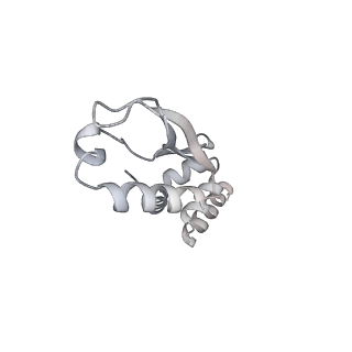 18201_8q72_M_v1-2
E. coli plasmid-borne JetABCD(E248A) core in a cleavage-competent state