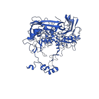18212_8q7c_A_v1-0
Cryo-EM structure of Adenovirus C5 hexon