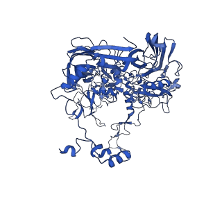 18212_8q7c_A_v1-2
Cryo-EM structure of Adenovirus C5 hexon